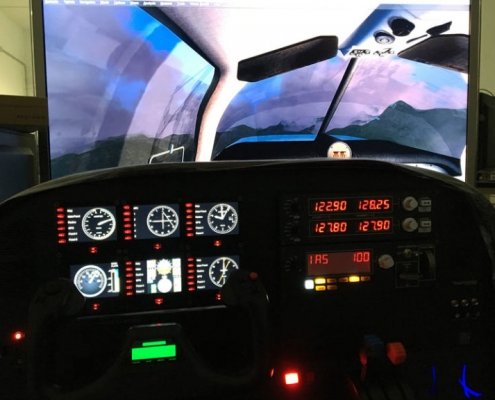 flight simulator